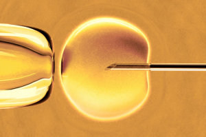 17IVF-tmagArticle